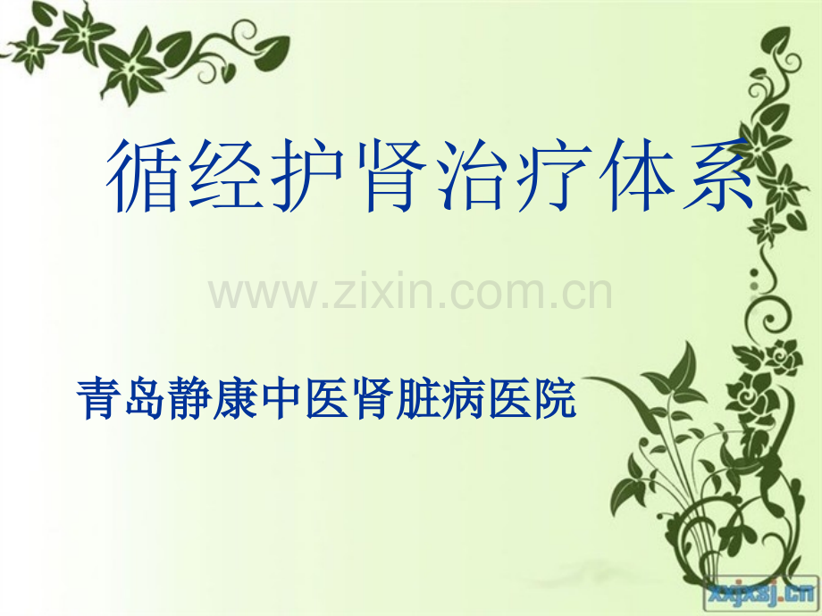 循经护肾治疗体系课件.ppt_第1页