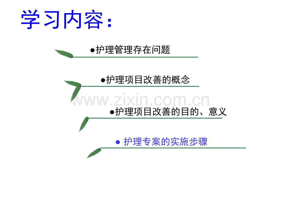 护理专项改善课件.ppt_第1页