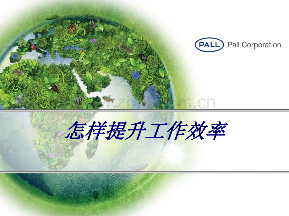如何提高工作效率专题培训课件.pptx_第1页