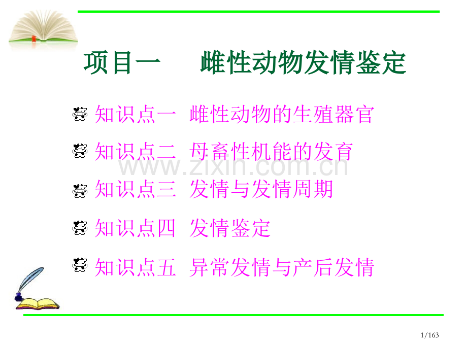 知识点二--母畜性机能的发育课件.ppt_第1页