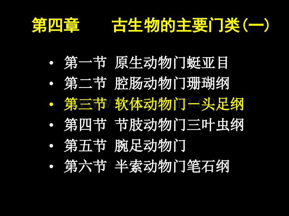-第4章-头足纲(1学时)课件.ppt_第1页