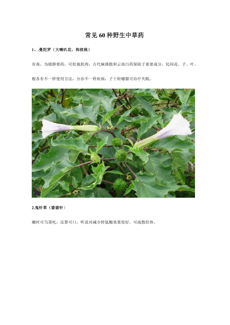 常见60种野生中草药.doc_第1页