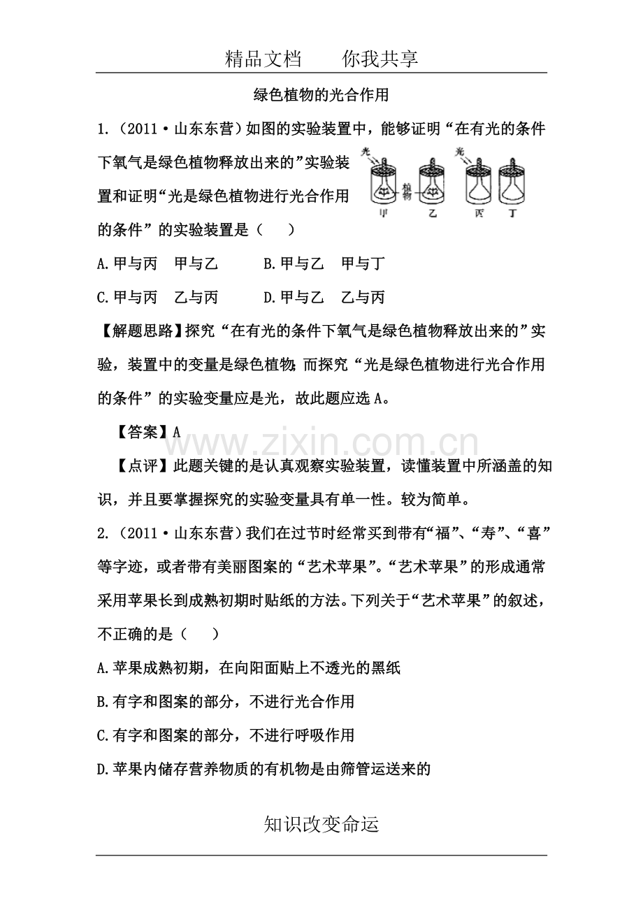七年级生物绿色植物的光合作用检测题.doc_第2页
