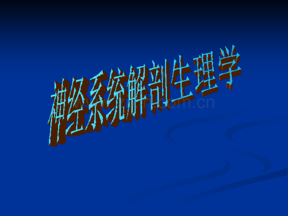 神经系统一般生理功能课件.ppt_第1页