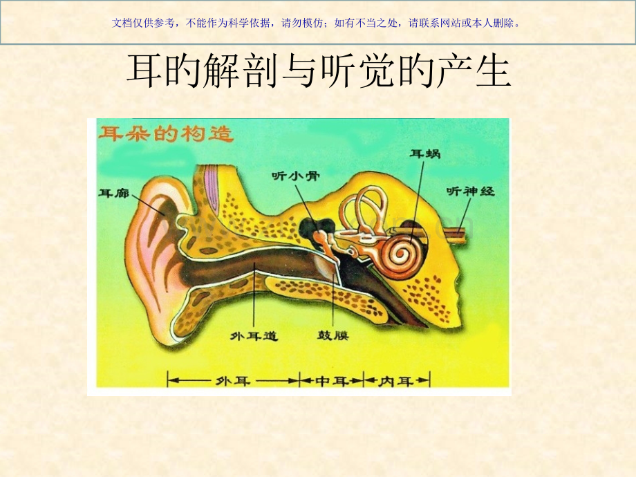 听觉传导通路课件.pptx_第1页