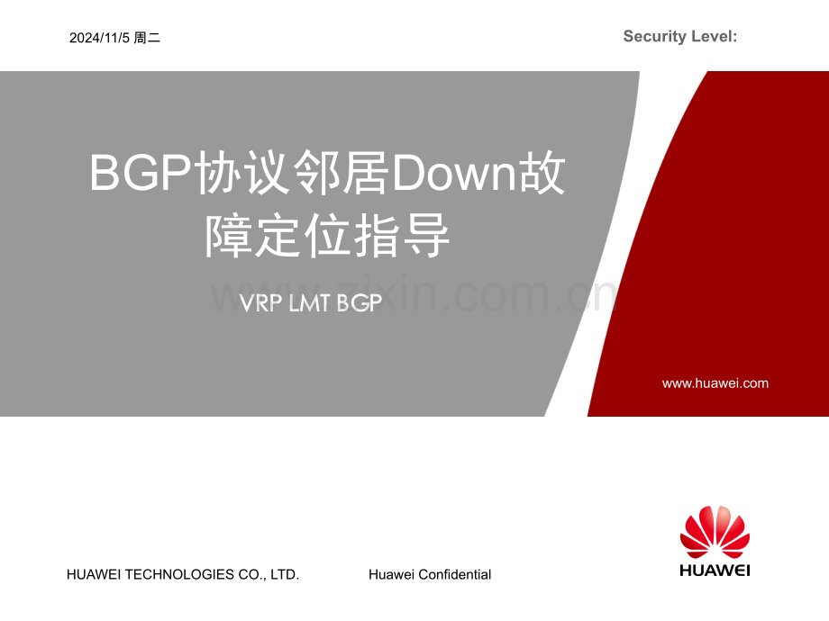 BGP协议邻居Down故障定位指导-20101130-A课件.ppt_第1页