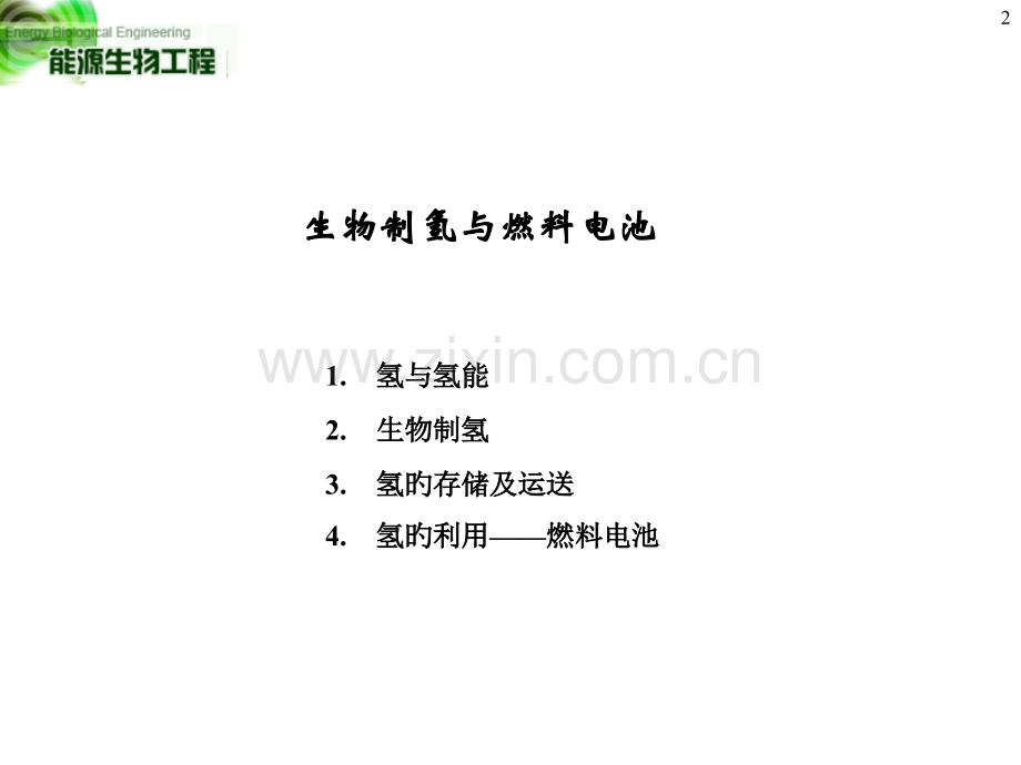 生物制氢公开课一等奖市赛课获奖课件.pptx_第2页