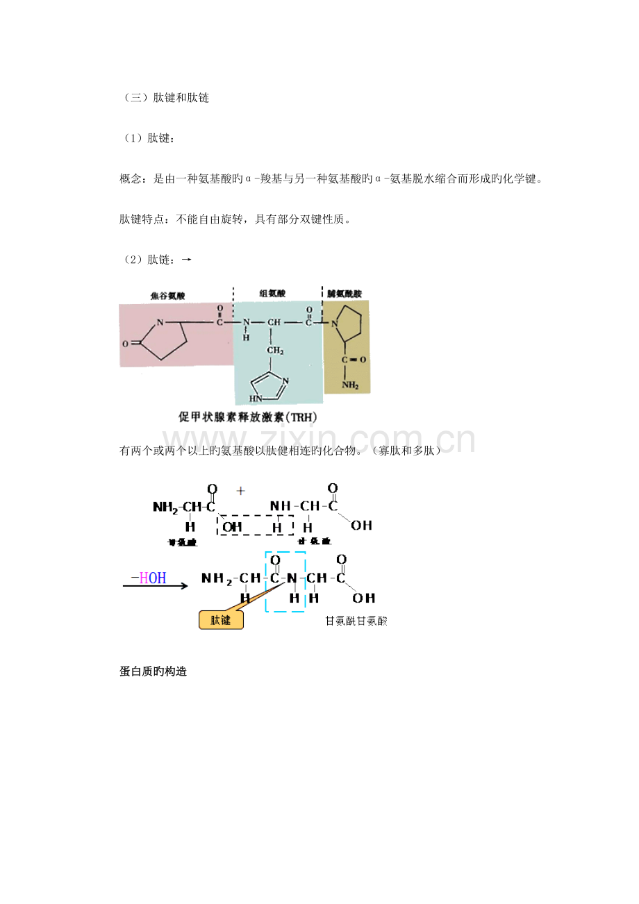 2023年公卫执业医师生物化学.doc_第2页