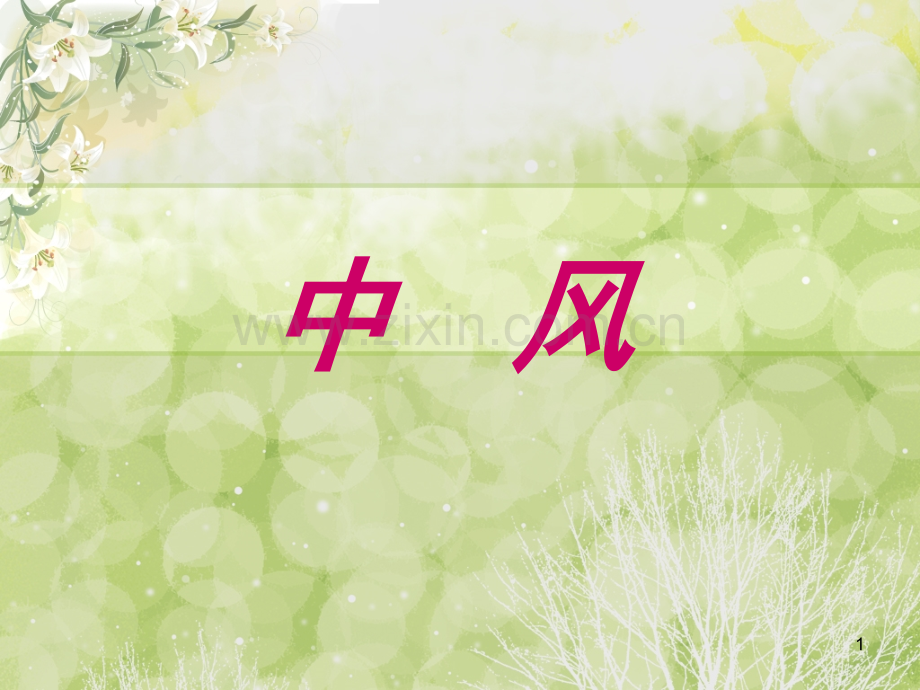 中医内科学中风.pptx_第1页