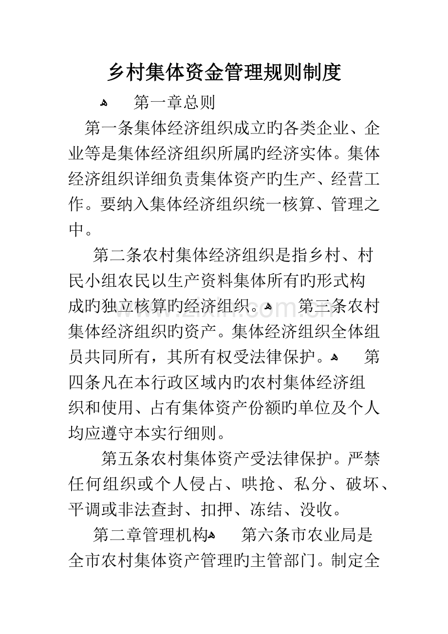 乡村集体资金管理规则制度.docx_第1页