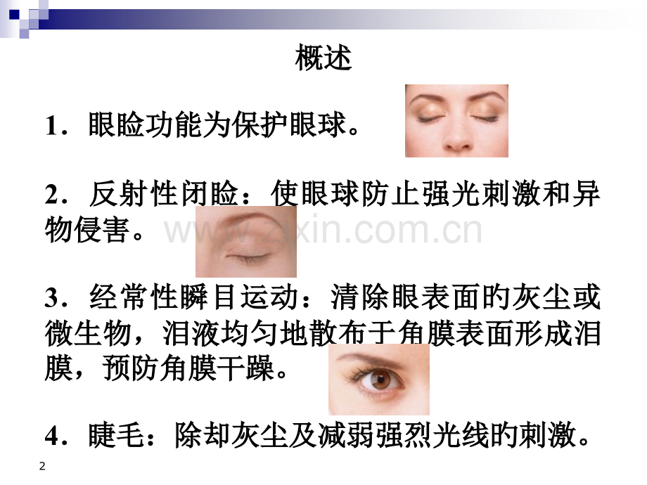 眼睑病病人的护理.pptx_第2页