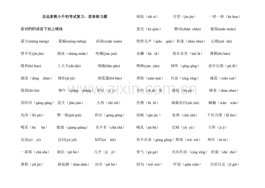 2023年小升初语文基础知识练习.doc_第1页