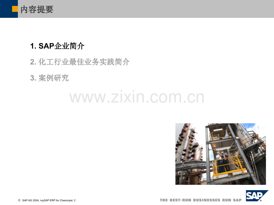sap化工行业解决方案.pptx_第2页