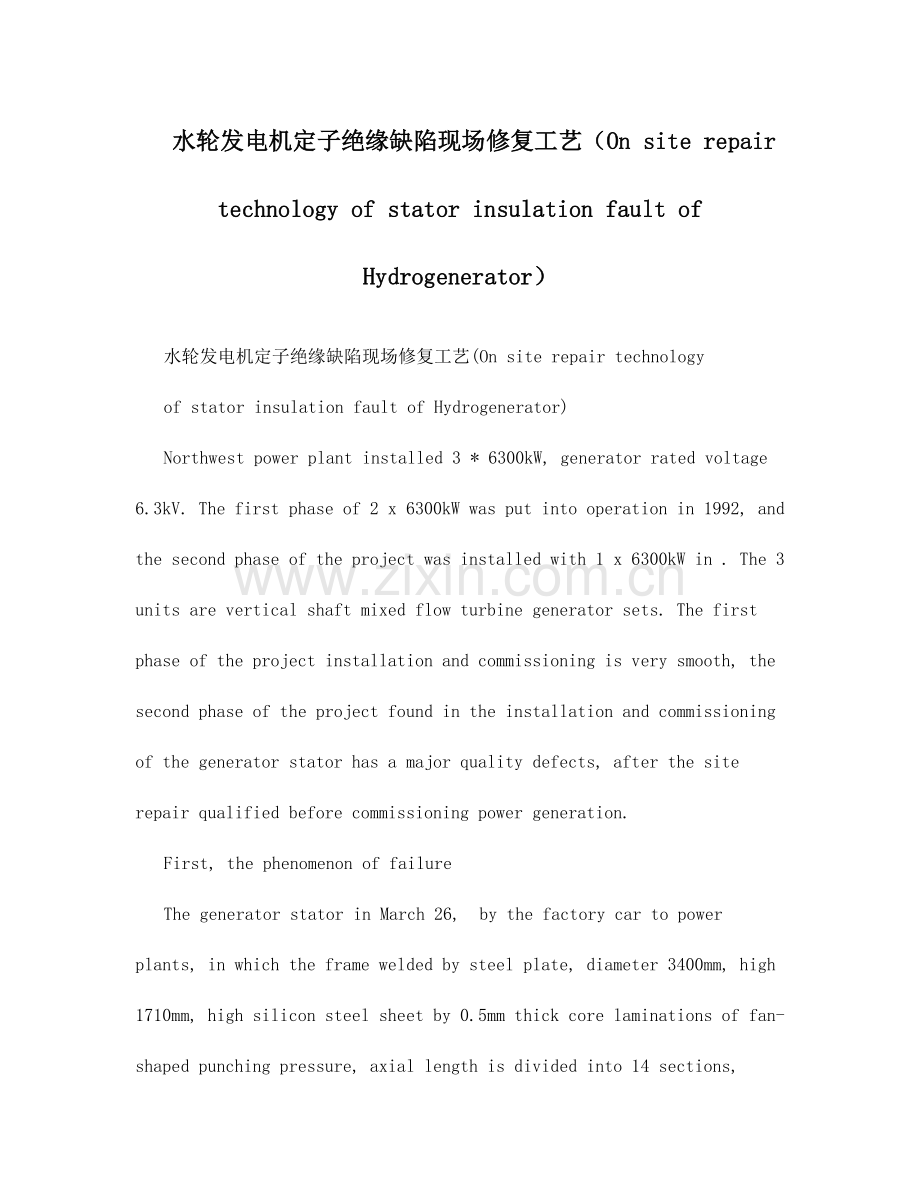 2023年水轮发电机定子绝缘缺陷现场修复工艺.doc_第1页