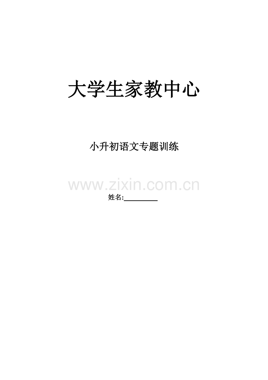 2023年小升初语文专项训练.doc_第1页