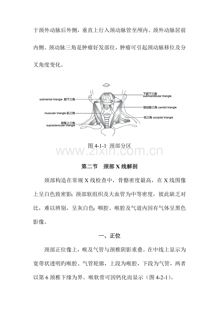 颈部影像解剖.doc_第2页