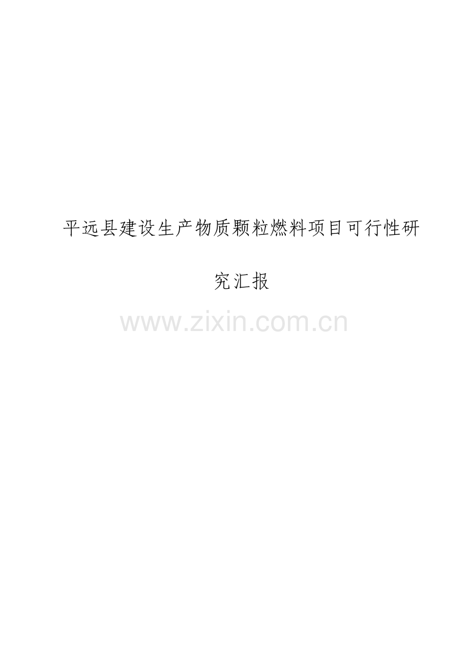 建设生产生物质颗粒燃料项目可行性研究报告.doc_第1页