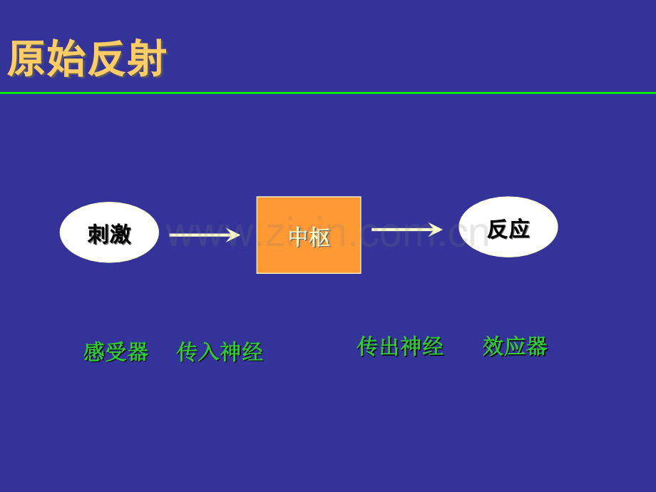 婴儿神经反射和发育里程碑讲义.ppt_第2页
