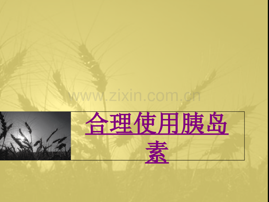 医学合理使用胰岛素ppt培训课件.ppt_第1页