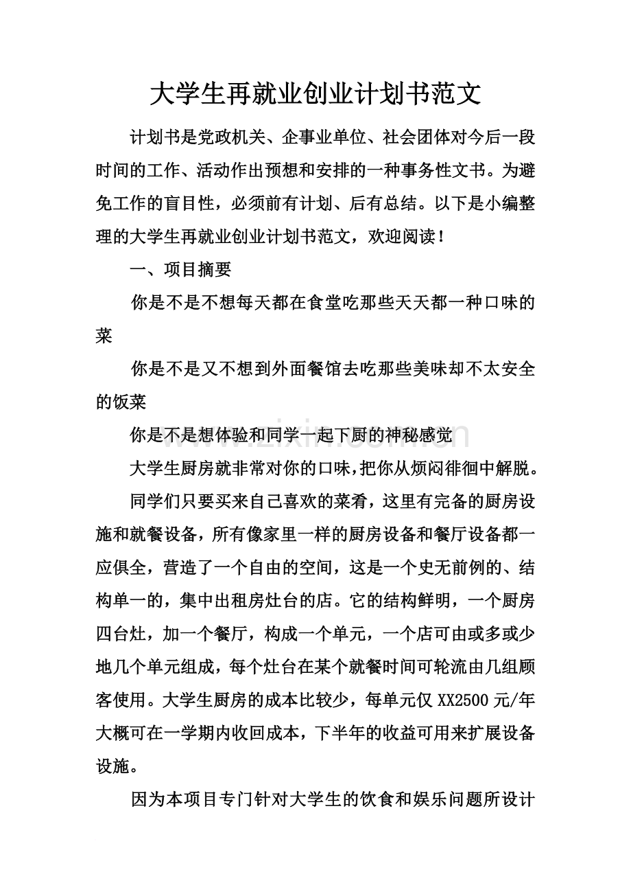 大学生再就业创业计划书范文.docx_第2页