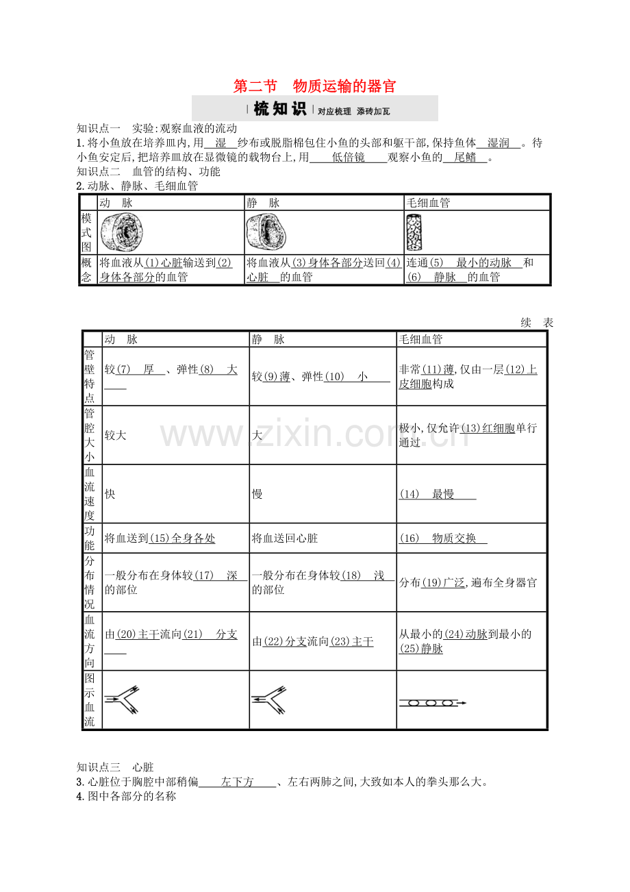 2022-2022学年七年级生物下册3.3.2物质运输的器官检测新.doc_第1页