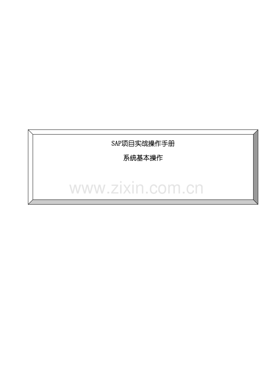 SAP项目实战操作手册系统基本操作.doc_第2页
