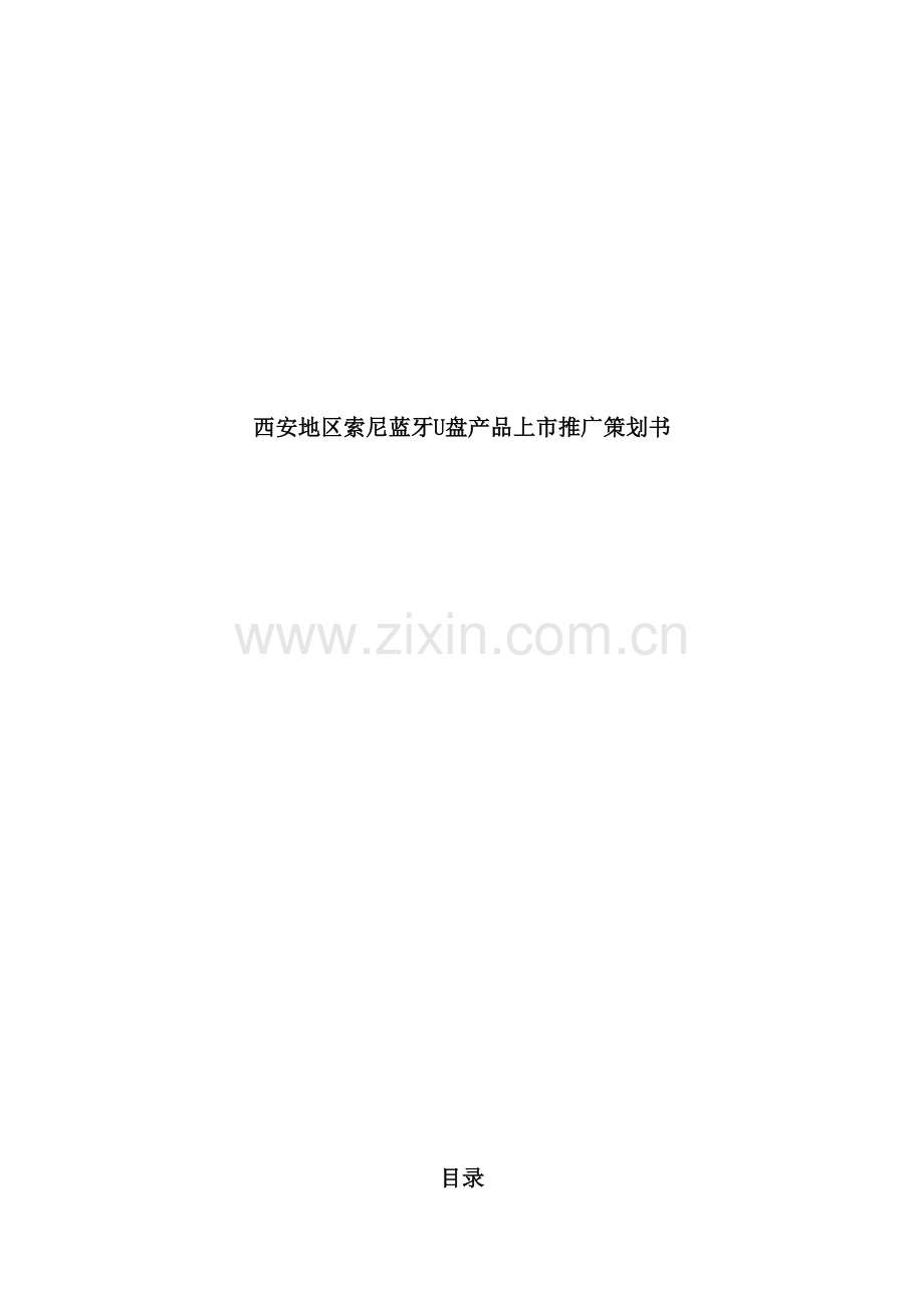 西安地区索尼蓝牙U盘产品上市推广策划案.doc_第2页