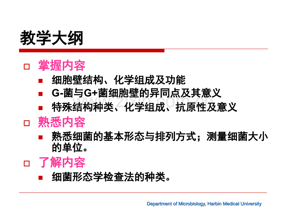 第一章细菌的形态.ppt_第1页