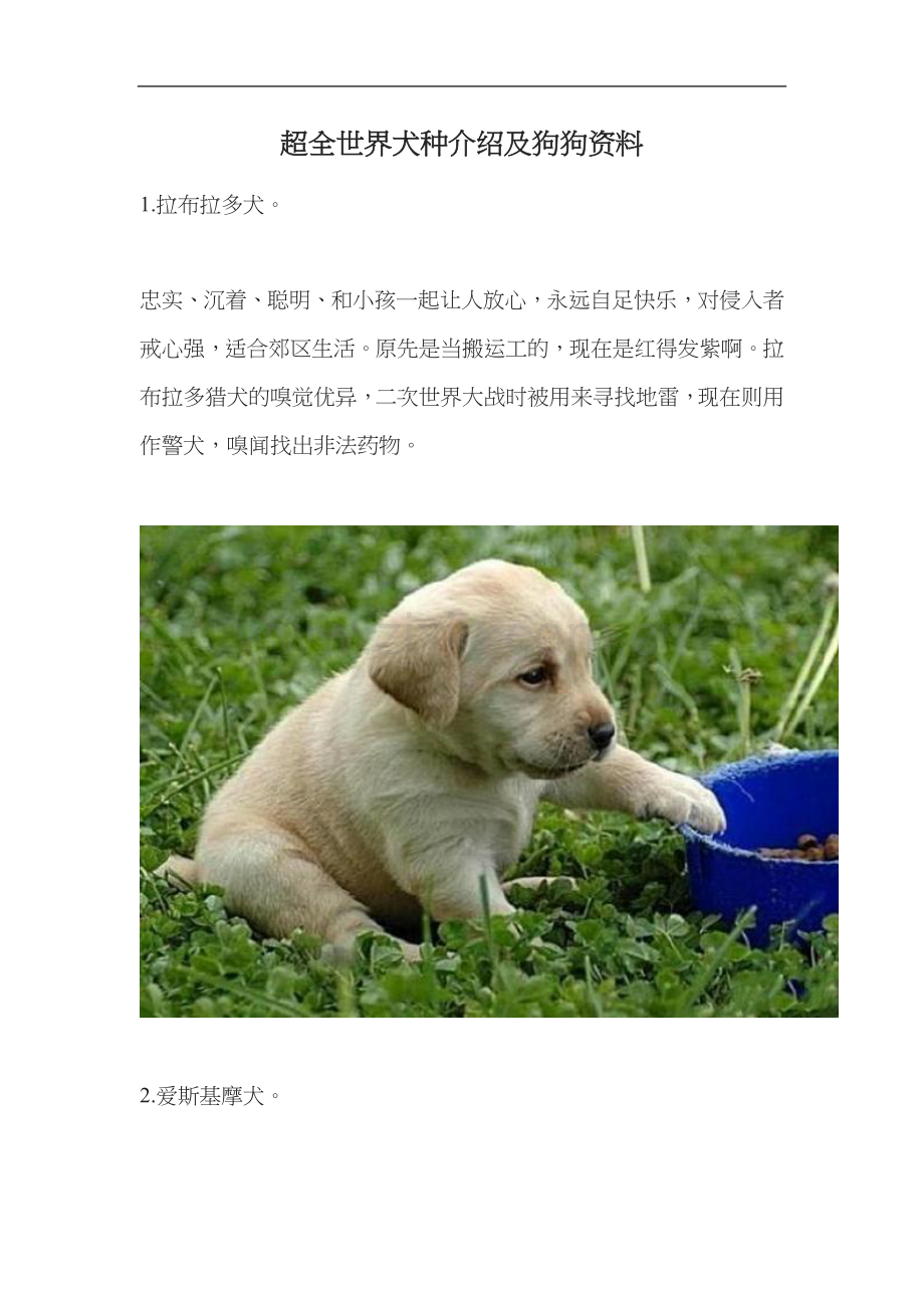 世界犬种介绍.docx_第2页