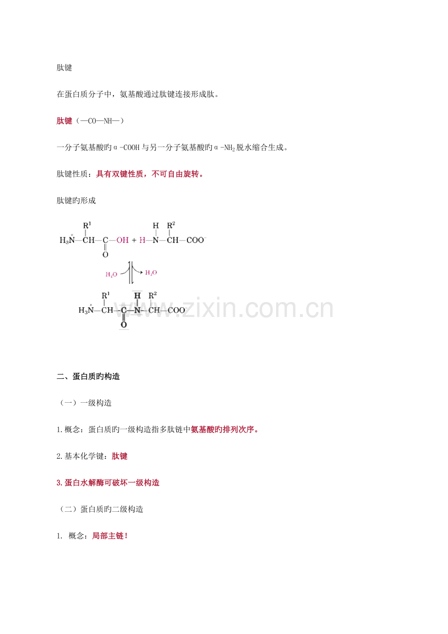 2023年执业医师考试重点生物化学.doc_第2页