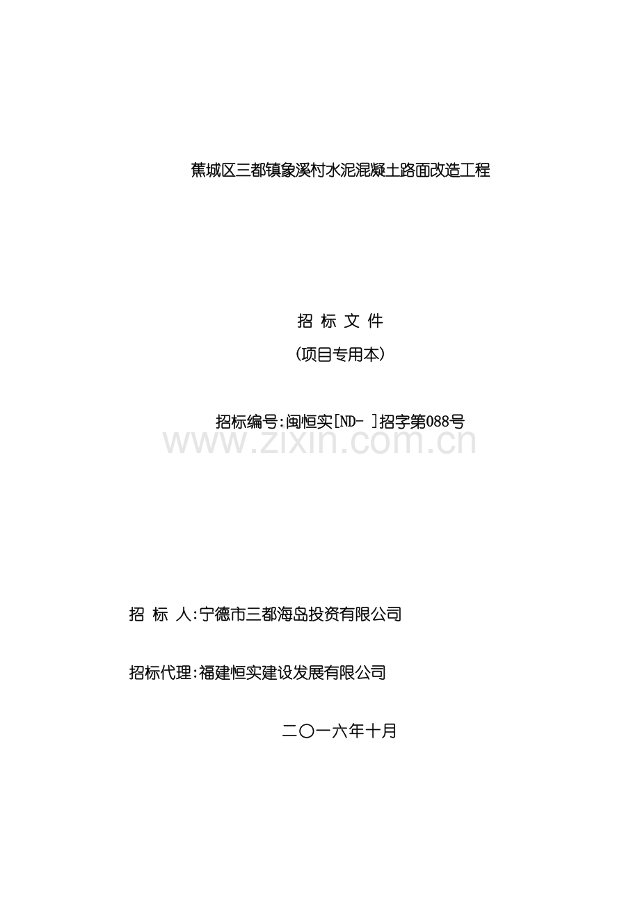 村水泥混凝土路面改造工程招标文件.doc_第2页