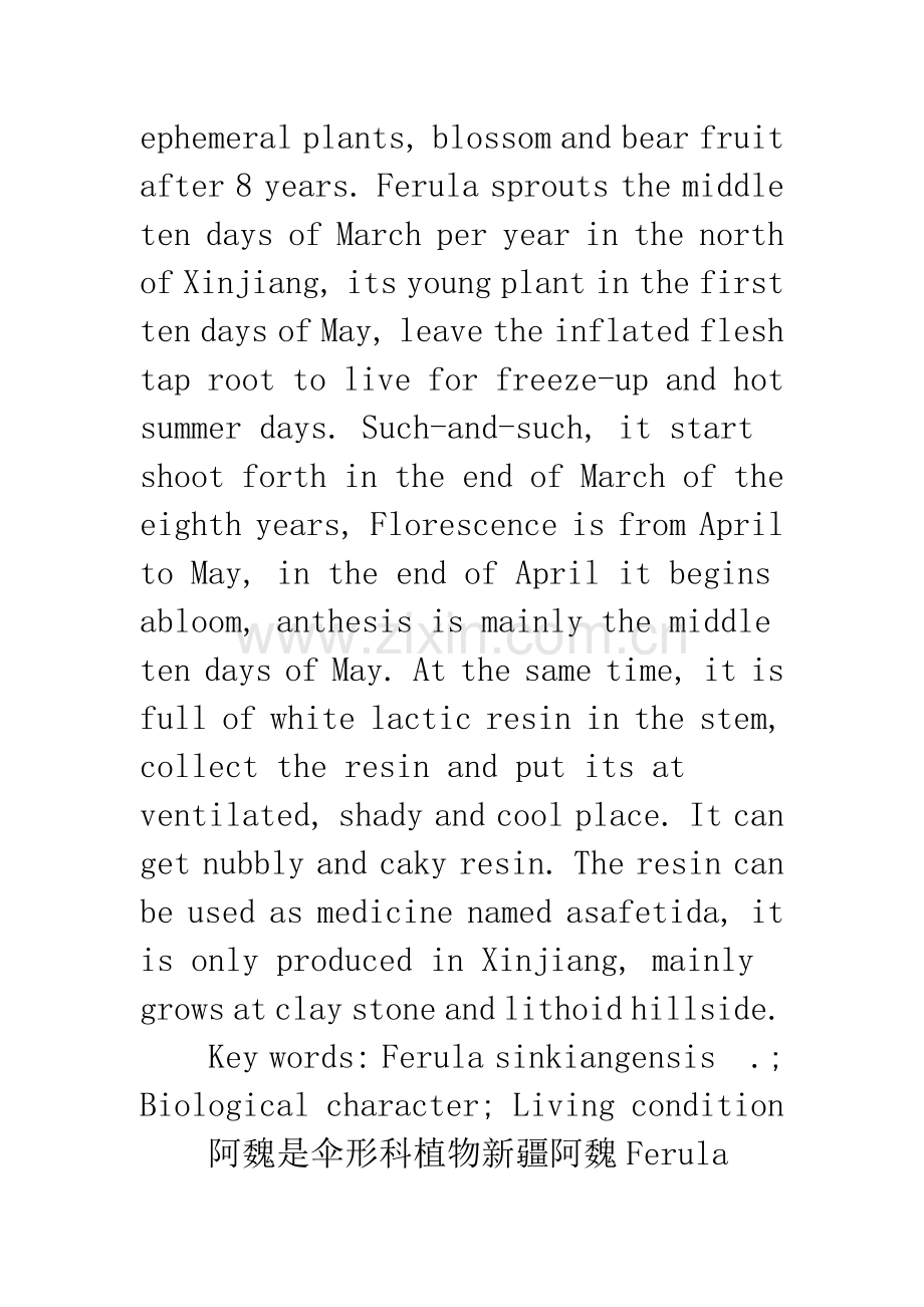 新疆野生阿魏的生物学特性研究.docx_第2页