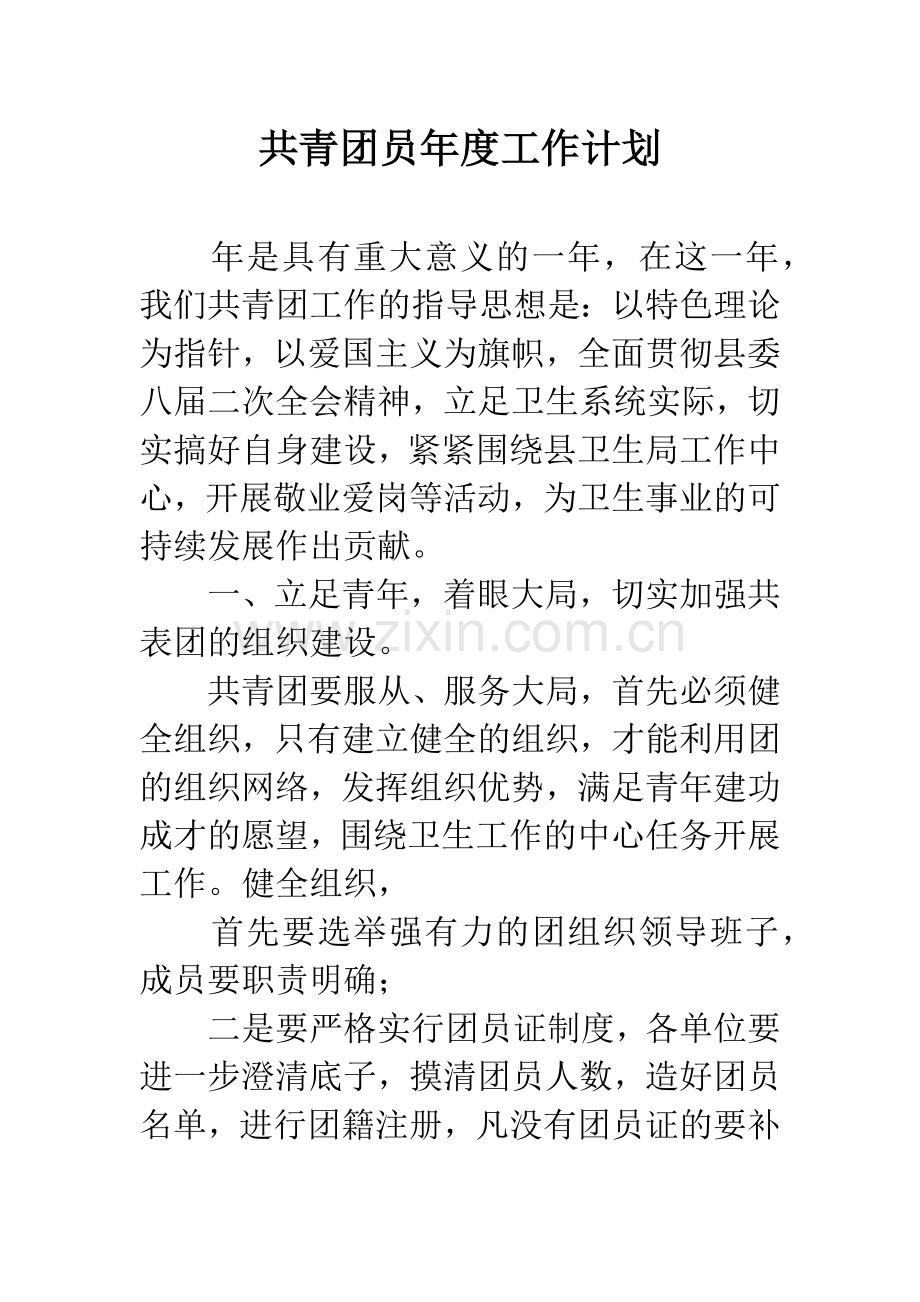 共青团员年度工作计划.docx_第1页