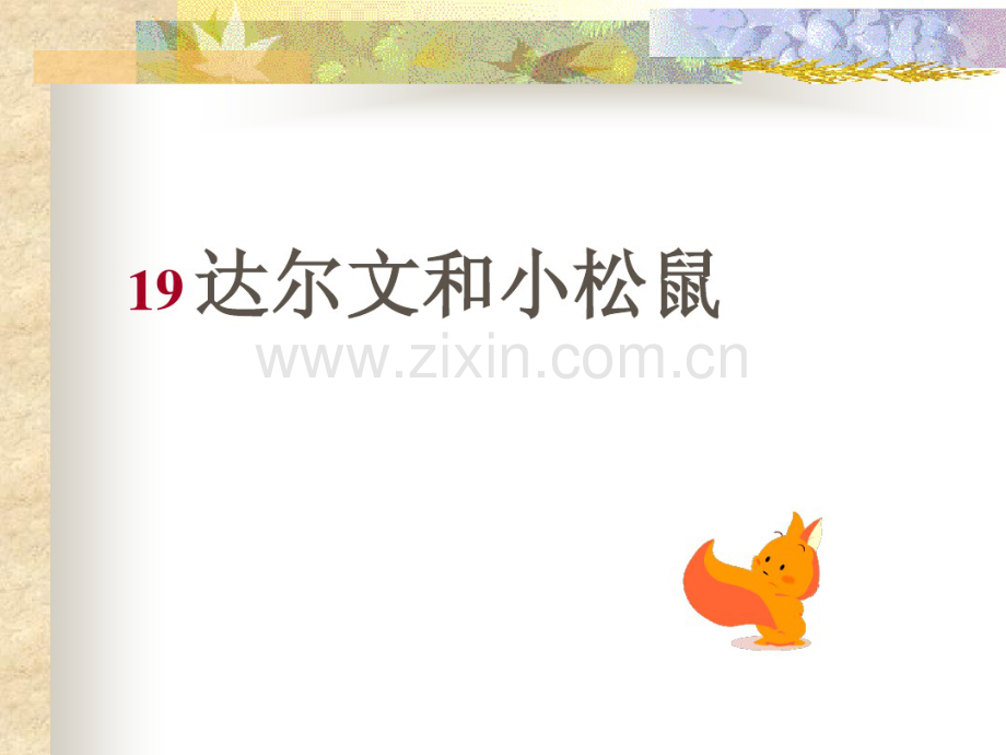 冀教版一年级语文下册达尔文和小松鼠.pdf_第1页