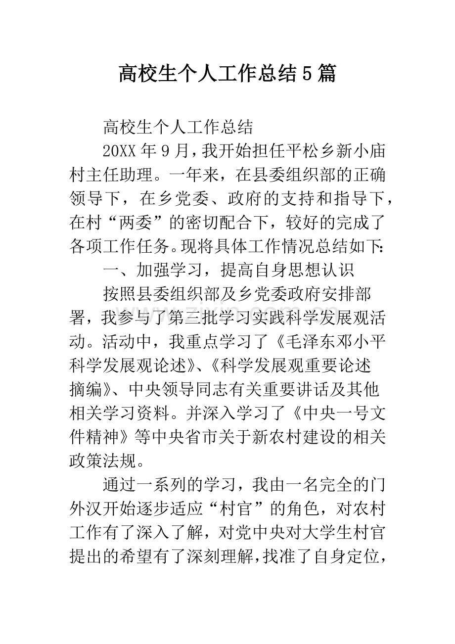 高校生个人工作总结5篇.docx_第1页