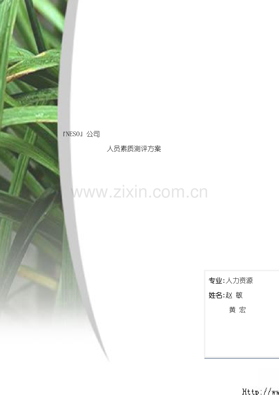 NESO集团人员素质测评方案.doc_第2页