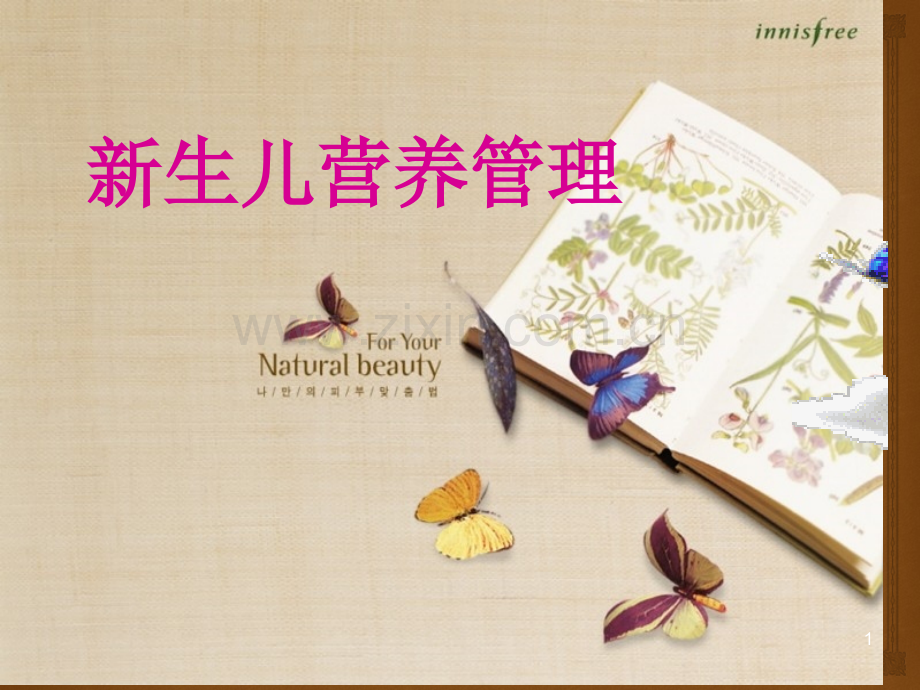 新生儿营养管理.pptx_第1页