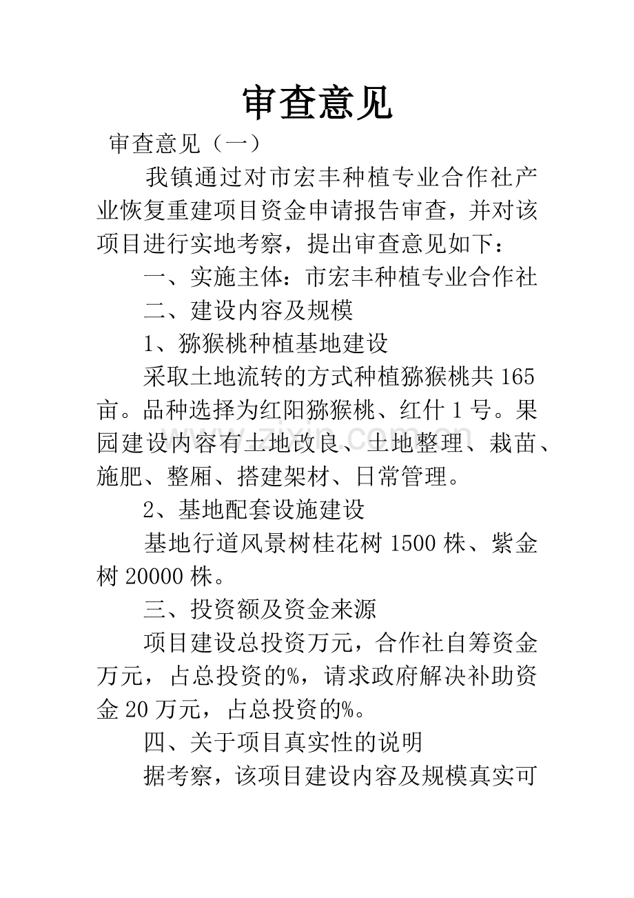 审查意见.docx_第1页