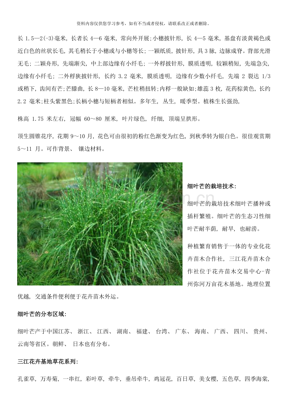 细叶芒形态特征是什么细叶芒有什么栽培技术样本.docx_第2页