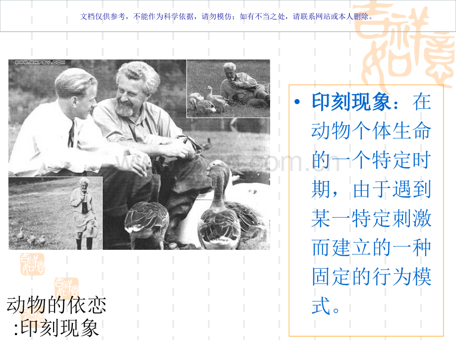 依恋理论心理学课件.ppt_第1页