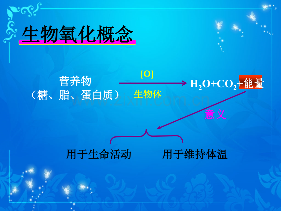 高职医学生物化学生物氧化.ppt_第2页