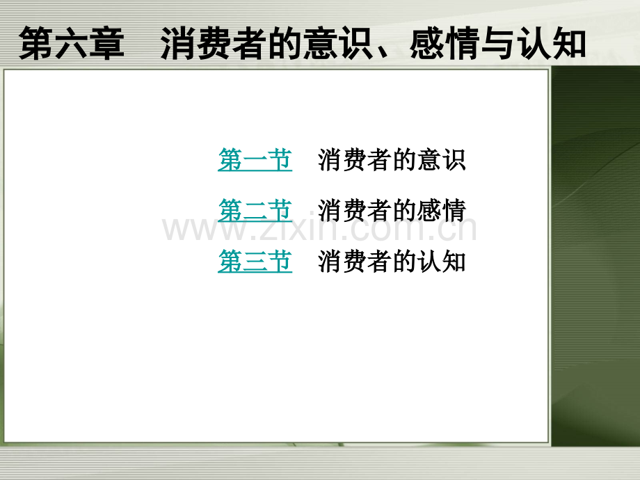 第六章消费者的意识、感情与认知.ppt_第1页