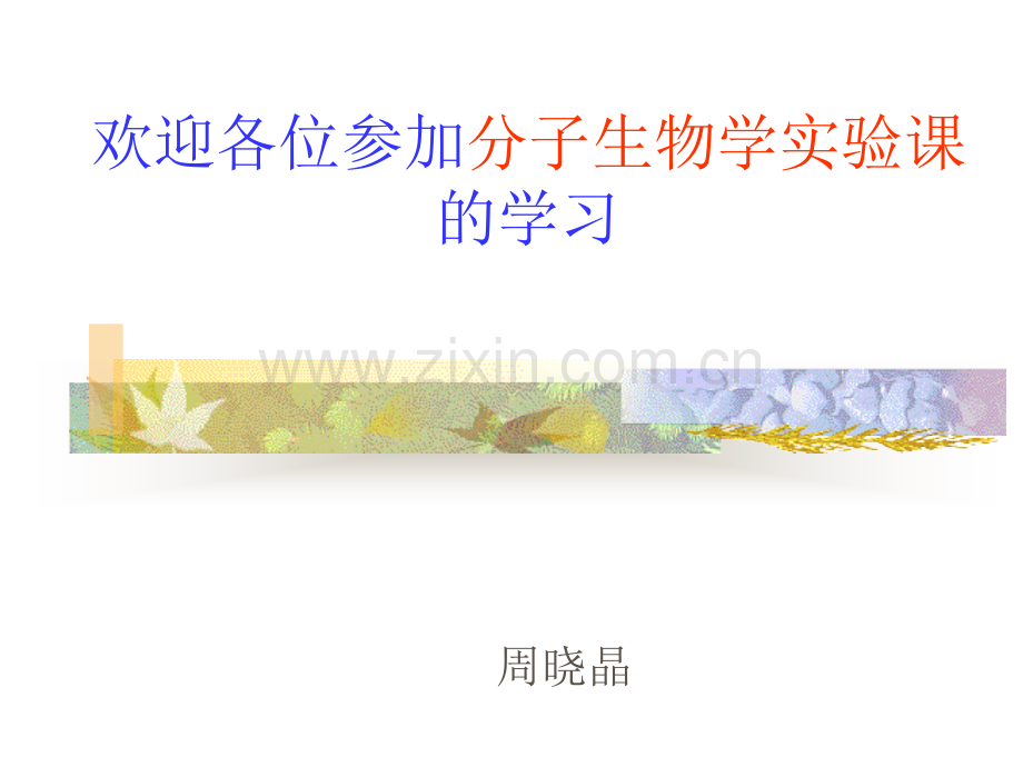 欢迎各位进入分子生物学实验的学习.ppt_第1页