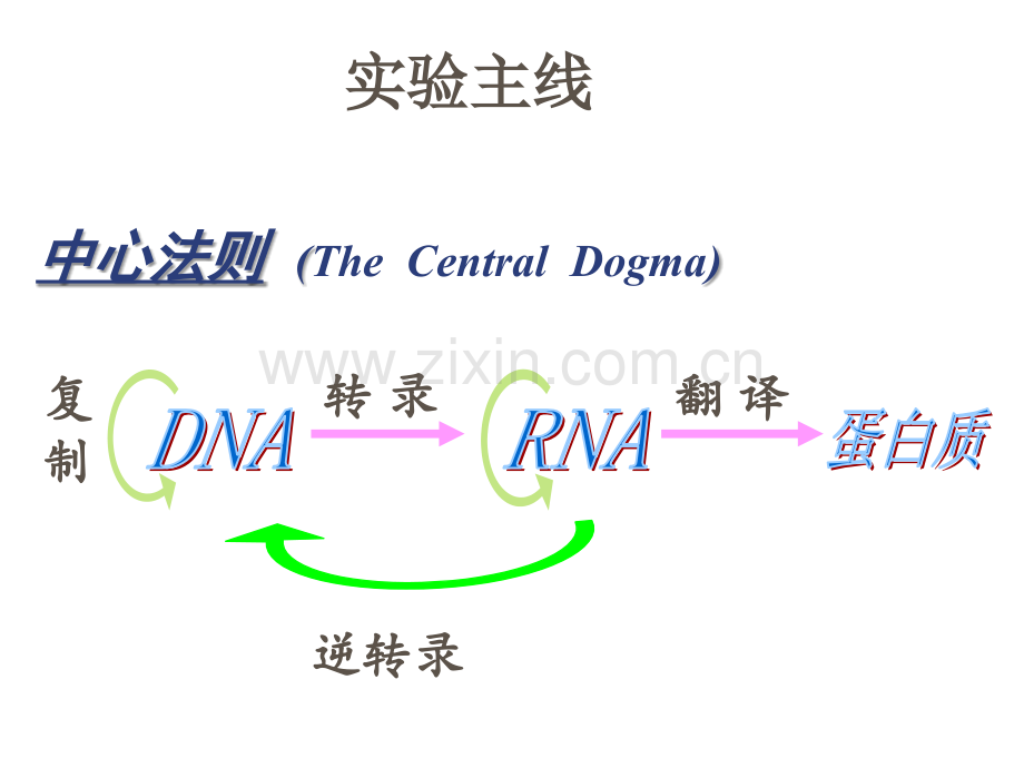 欢迎各位进入分子生物学实验的学习.ppt_第2页
