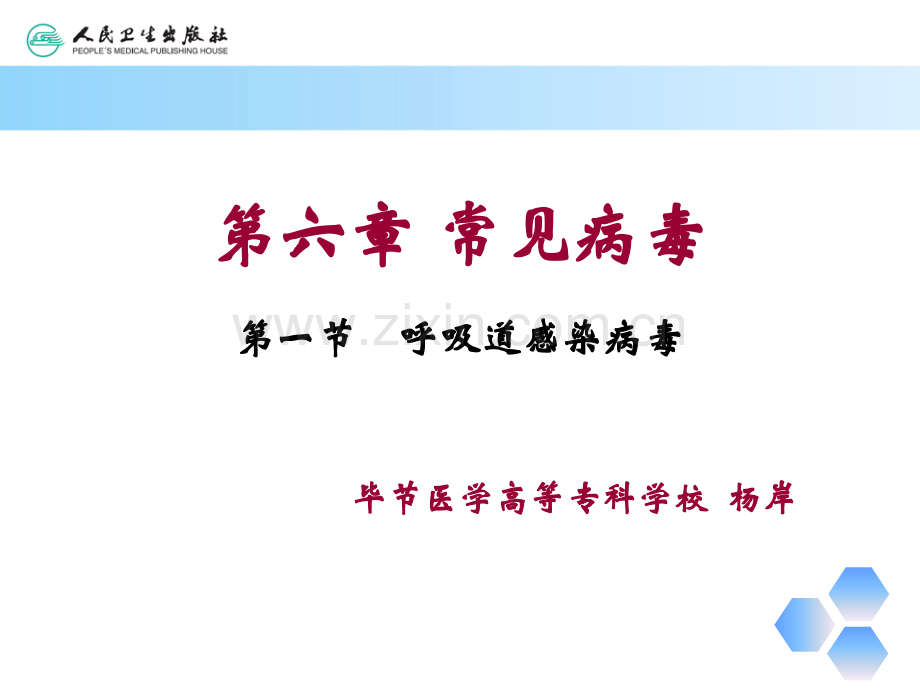第六章常见病毒.ppt_第2页