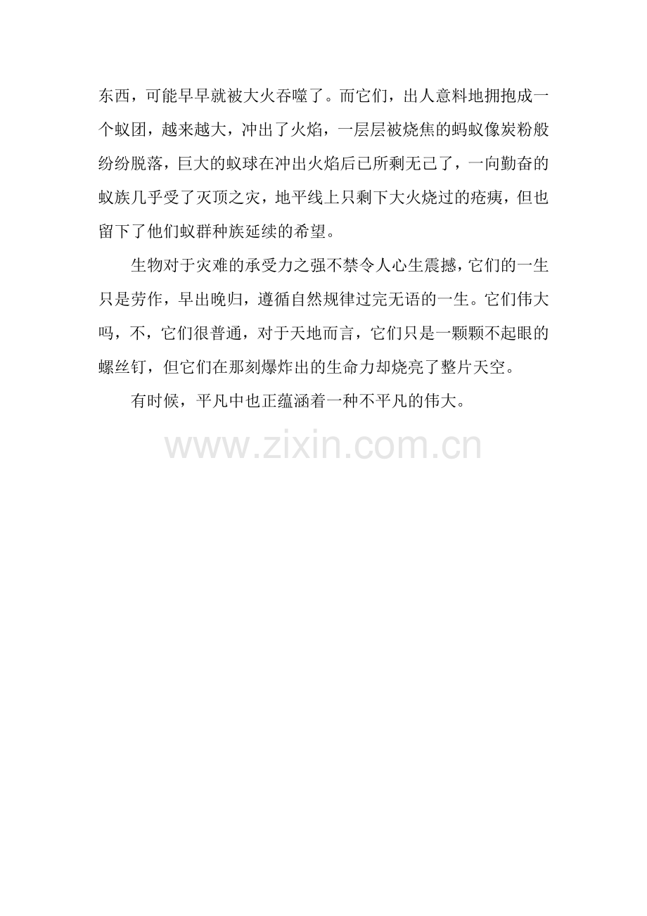 平凡中的伟大作文800字.docx_第2页