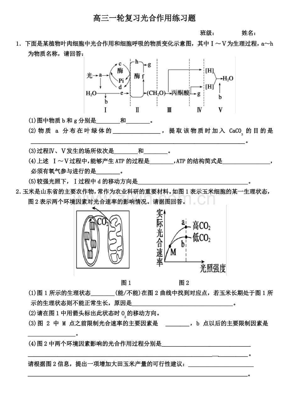 高中生物一轮复习光合作用大题带答案.pdf_第1页