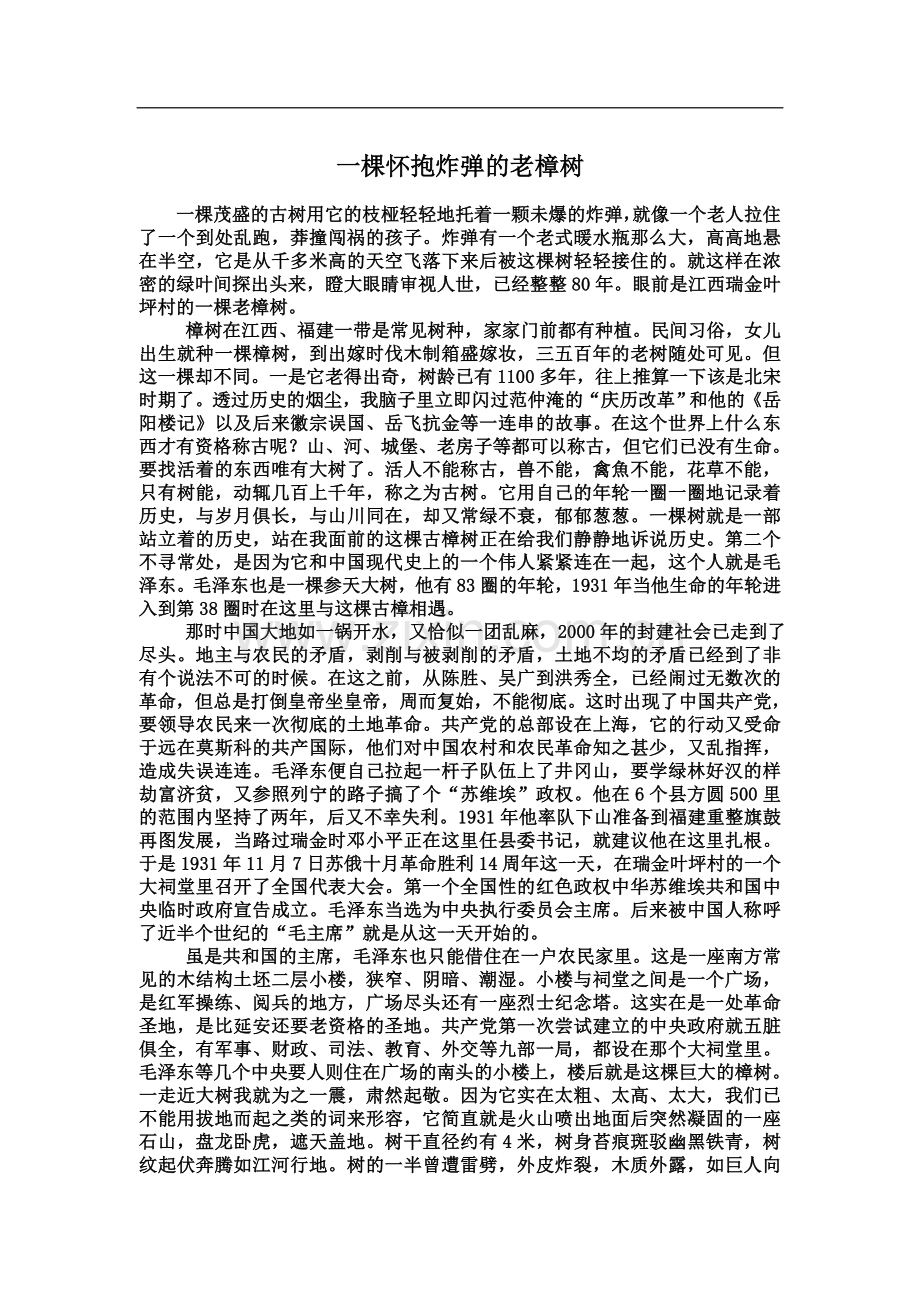 一棵怀抱炸弹的老樟树.doc_第2页