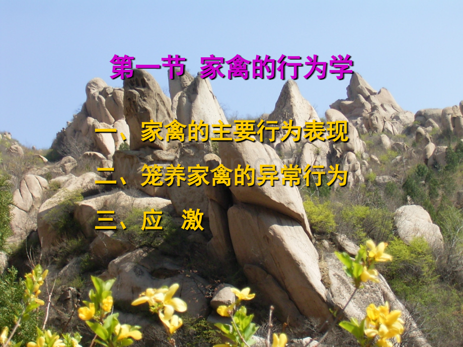 第六章家禽的管理.ppt_第2页