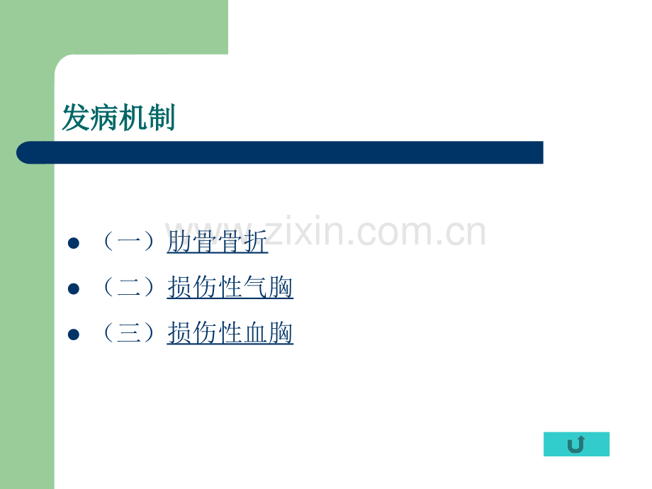第十三章气胸病人的护理.ppt_第2页